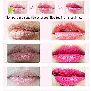 Natural Aloe Vera Lipstick Waterproof Moisturizing Lip Balm Lip Stick